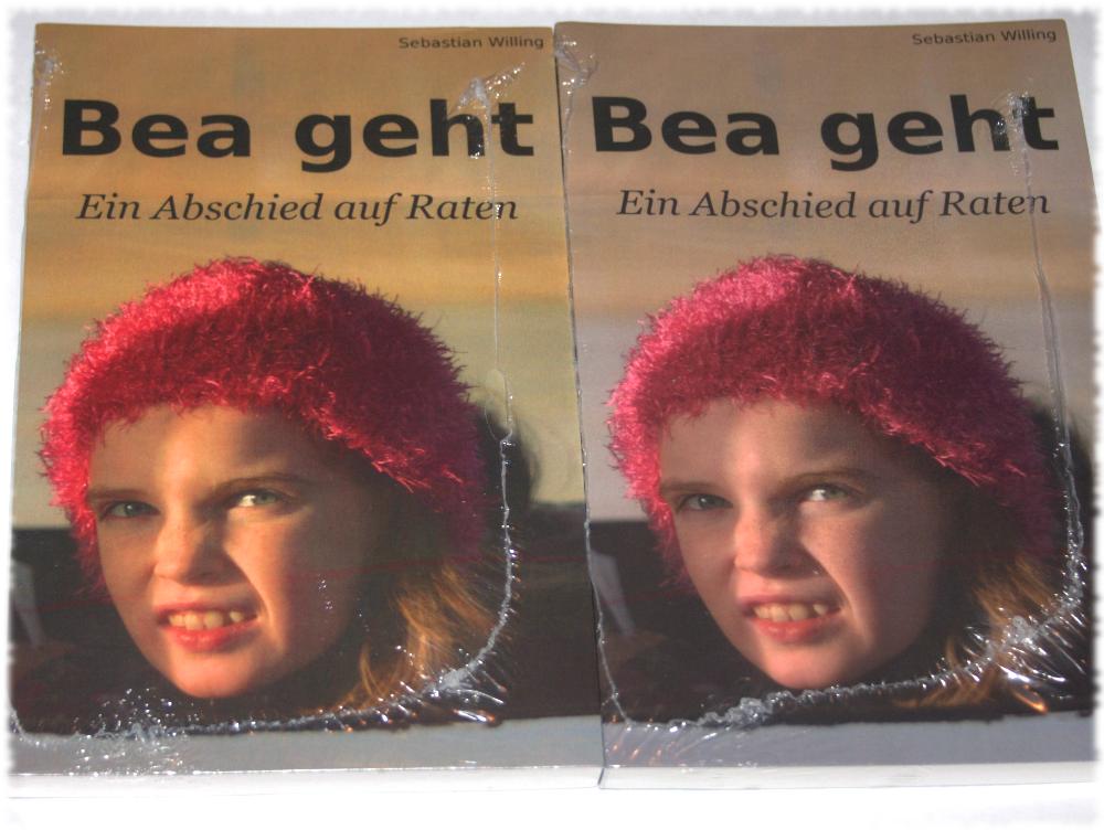 http://www.pal-blog.de/2013/10/29/bea_geht-alt_vs._neu.jpg