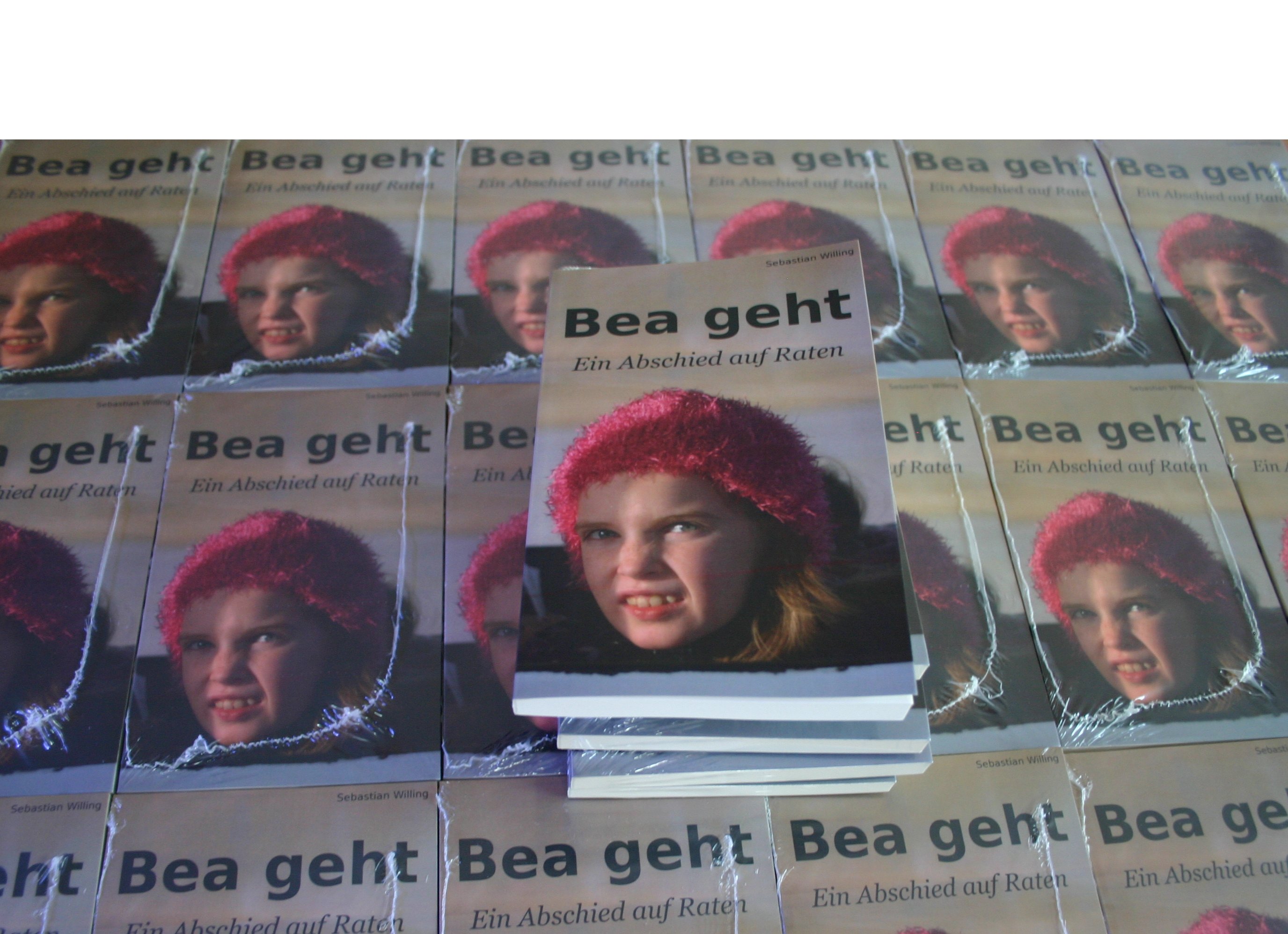 http://www.pal-blog.de/bea-geht/presse/Bea_geht_Buecher.jpg